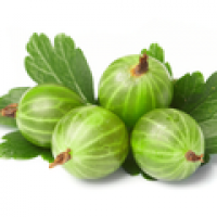 Агрус