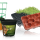 Ємності для рослин