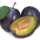 Слива