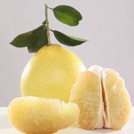 Помело Thondi