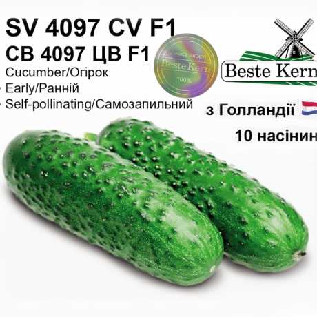 Голландське насіння огірка СВ 4097 ЦВ F1(ТМ Beste Kern 10шт)