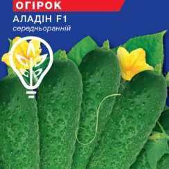Насіння огiрка Алладін F1 (Hobby, TM GL Seeds) (0.5г)