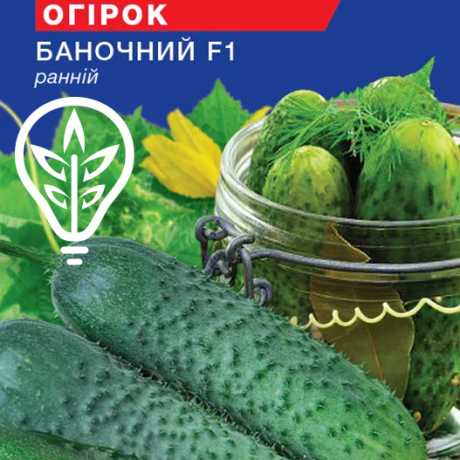 Насіння огiрка Баночний F1 (Hobby, TM GL Seeds) (10шт)