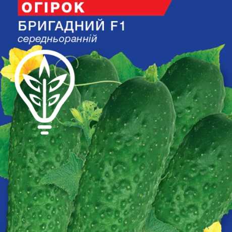 Семена огурца Бригадный F1 (Hobby, TM GL Seeds) (0.5г)