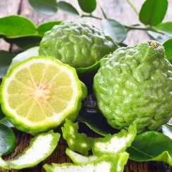 Кафрський лайм (Kaffir Lime, Citrus hystrix)
