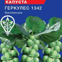 Насіння капусти брюсельської Геркулес (For Hobby, TM GL Seeds) (1г)