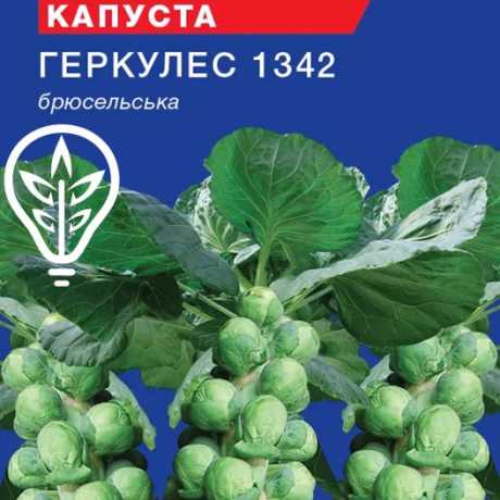 Насіння капусти брюсельської Геркулес (For Hobby, TM GL Seeds) (1г)