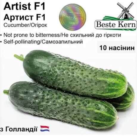 Голландське насіння огірка Артист F1 (ТМ Beste Kern 10шт)