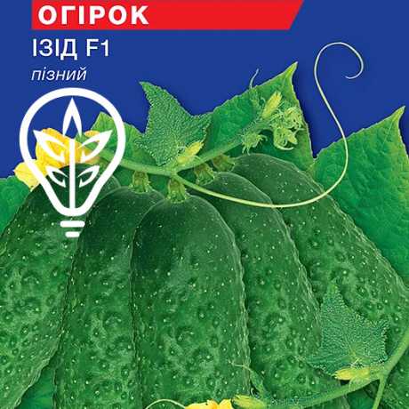 Насіння огiрка Ізiд F1 (Hobby, TM GL Seeds) (0.5г)