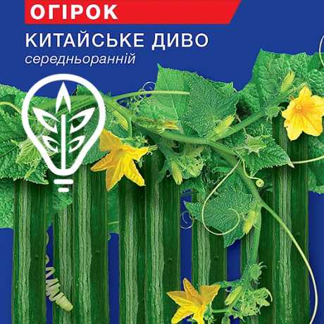 Насіння огiрка Китайське Диво (Hobby, TM GL Seeds) (0.5г)