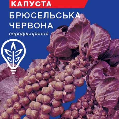 Насіння капусти брюсельської червоної (For Hobby, TM GL Seeds) (0,15г)