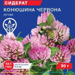 Насіння конюшини червоної (Professional, TM GL Seeds) (30г)