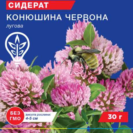Насіння конюшини червоної (Professional, TM GL Seeds) (30г)
