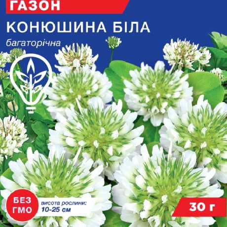 Насіння конюшини бiлої декоративної (Professional, TM GL Seeds) (30г)