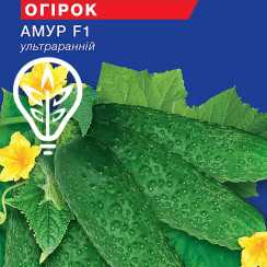 Насіння огiрка Амур F1 партенокарпік (Hobby, TM GL Seeds) (10шт)