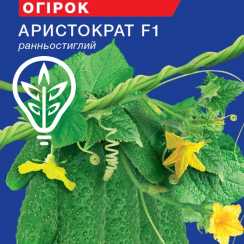 Насіння огiрка Аристократ F1 партенокарпік (Hobby, TM GL Seeds) (10шт)