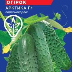 Насіння огiрка Арктика F1 партенокарпiк (Hobby, TM GL Seeds) (10шт)