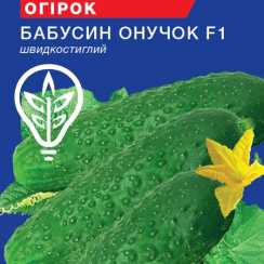 Насіння огiрка Бабусин Онучок F1 (Hobby, TM GL Seeds) (0.5г)