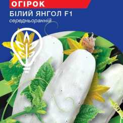 Насіння огiрка Бiлий Янгол (Hobby, TM GL Seeds) (0.5г)