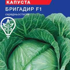Насіння капусти білокачанної Бригадир F1 Голандія (For Hobby, TM GL Seeds)(50шт)
