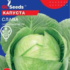 Насіння білокачаної капусти Слава (For Hobby, TM GL Seeds) (10г)