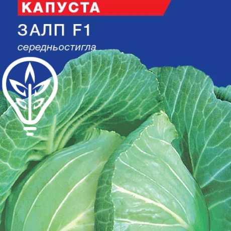 Насіння капусти Залп F1 (For Hobby, TM GL Seeds) (0.5г)