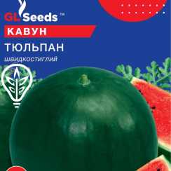 Насіння кавуна Тюльпан (Professional, TM GL Seeds) (10г)