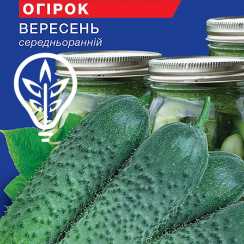Насіння огірка Вересень (Hobby, TM GL Seeds) (0.5г)