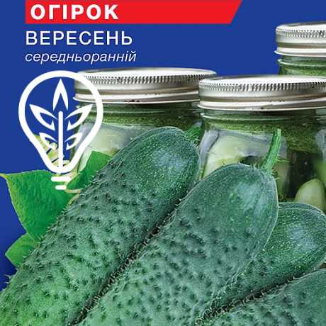 Семена огурца Сентябрь (Hobby, TM GL Seeds) (0.5г)