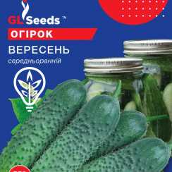 Насіння огірка Вересень (Professional, TM GL Seeds) (10г)