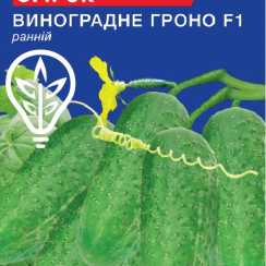 Насіння огiрка Виноградне Гроно (Hobby, TM GL Seeds) (0.5г)
