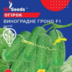 Насіння огiрка Виноградне Гроно (Professional, TM GL Seeds) (3г)