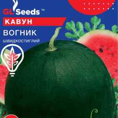 Насіння кавуна Вогник (Professional, TM GL Seeds) (10г)