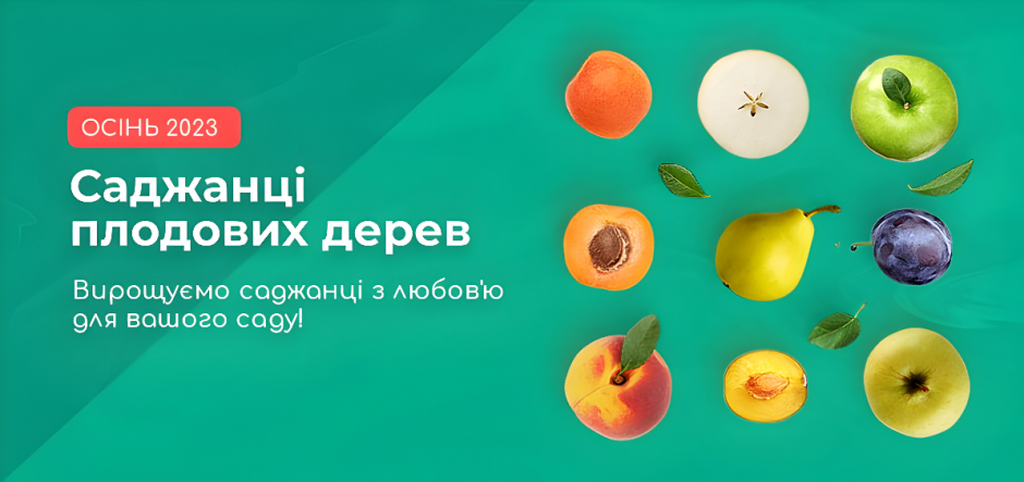 Саджанці плодових дерев