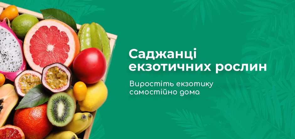 Саджанці екзотичних рослин