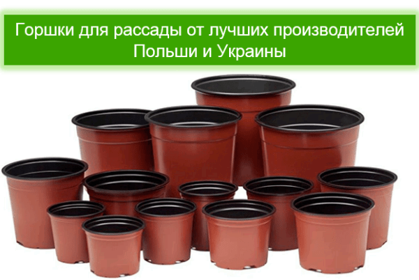 gorshki-dlya-rassady-3